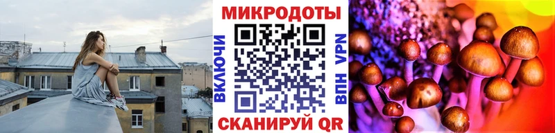 закладки  Нефтеюганск  Галлюциногенные грибы Cubensis 